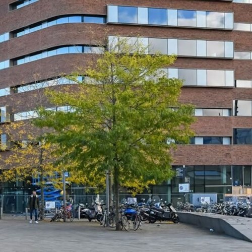 Arnhem, Oude Stationsstraat, 2-kamer appartement - foto 1